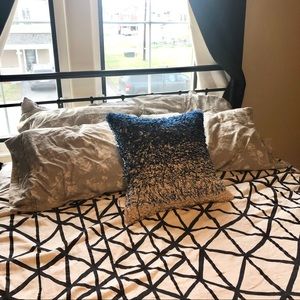 NWT Crate&Barrel Down Filled Pillow
